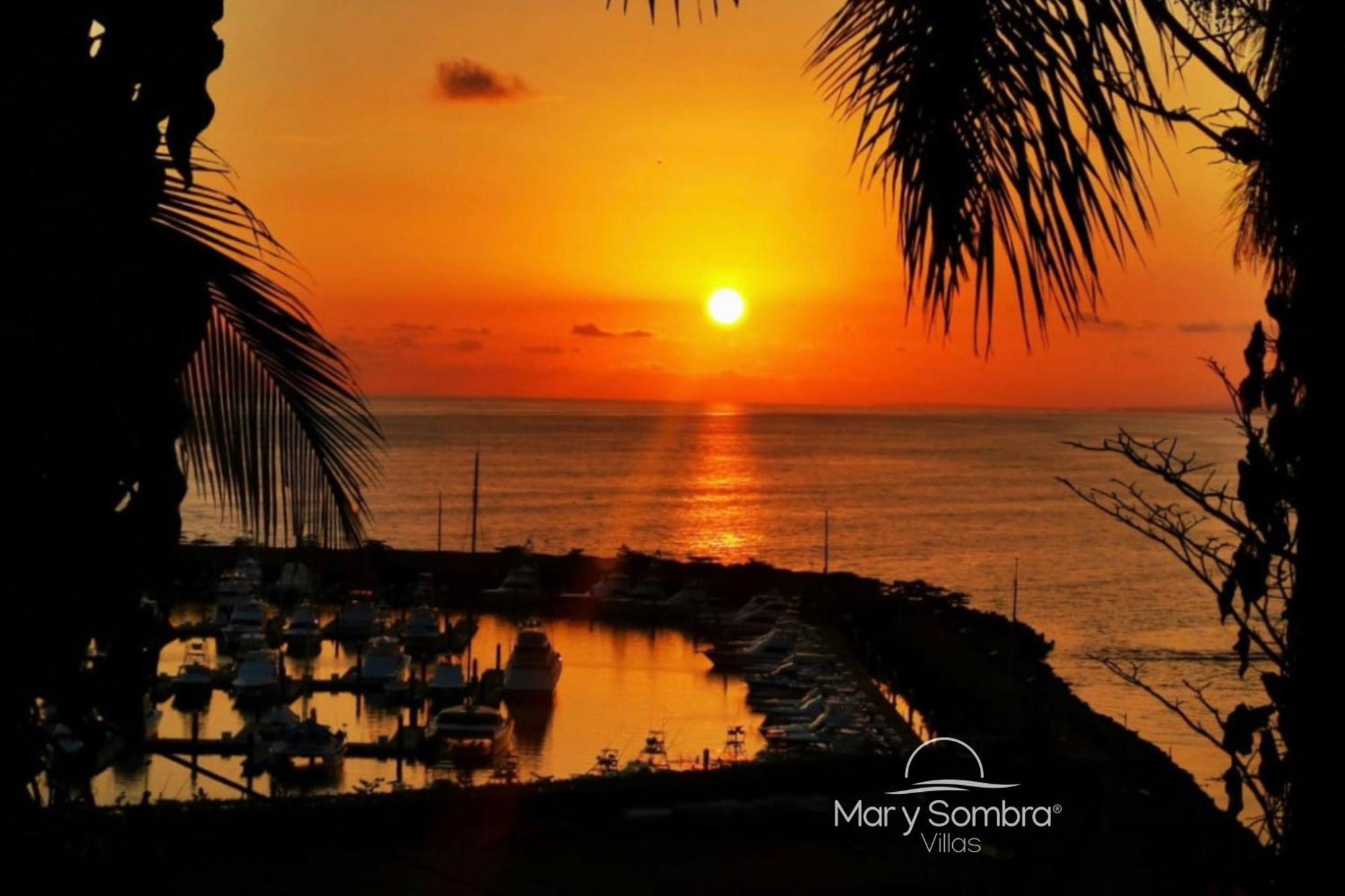 Mar Y Sombra Villas Quepos Eksteriør billede
